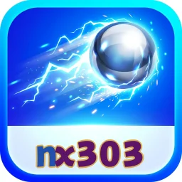 nx303